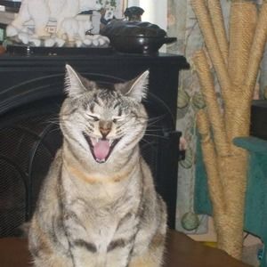 Meet your Posher, Ron